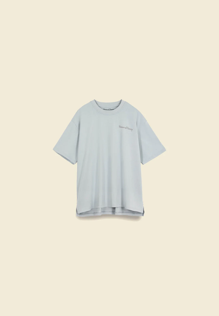 Áo thun oversized lý thuyết màu 4