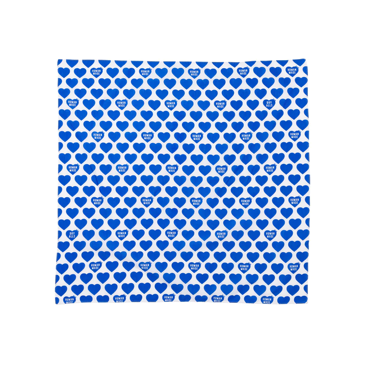 Big Bandana #2