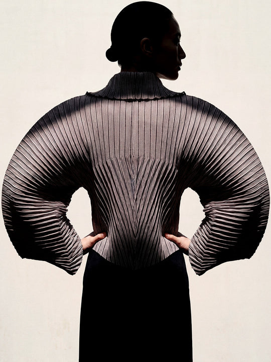 The Architectural Innovator