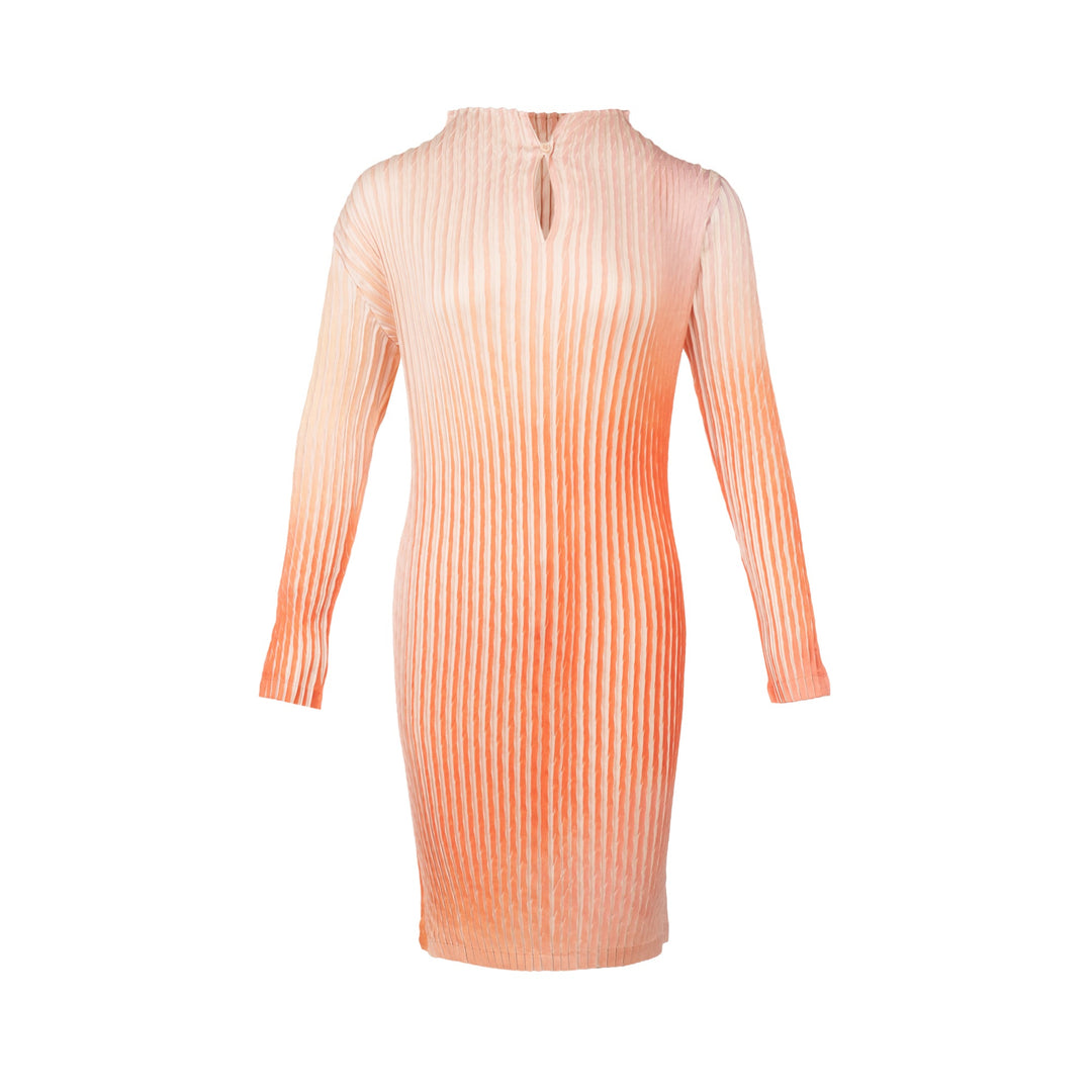 Suffused Pleats Dress