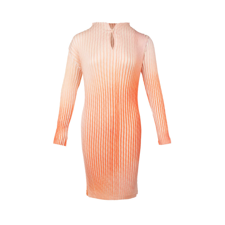 Suffused Pleats Dress