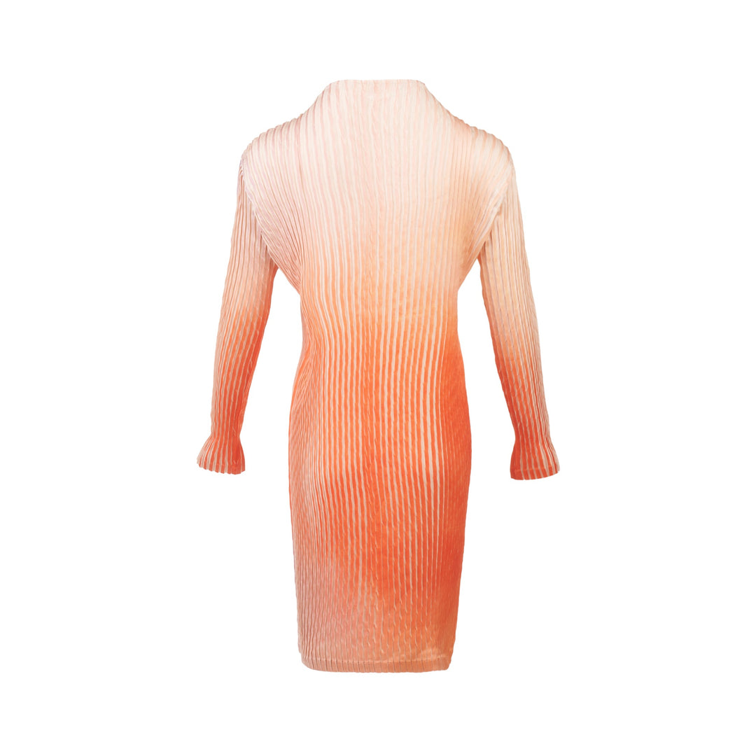 Suffused Pleats Dress