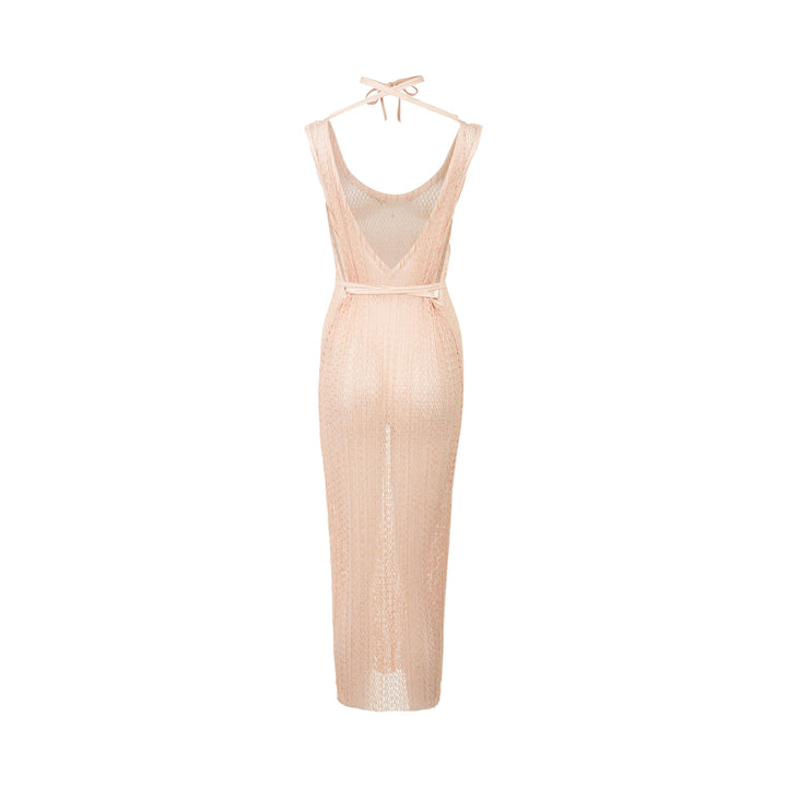 Netting Pleats Dress