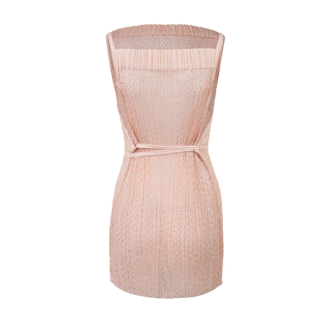 Netting Pleats Dress