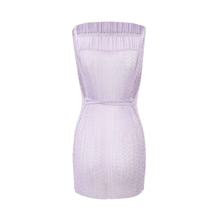 Netting Pleats Dress