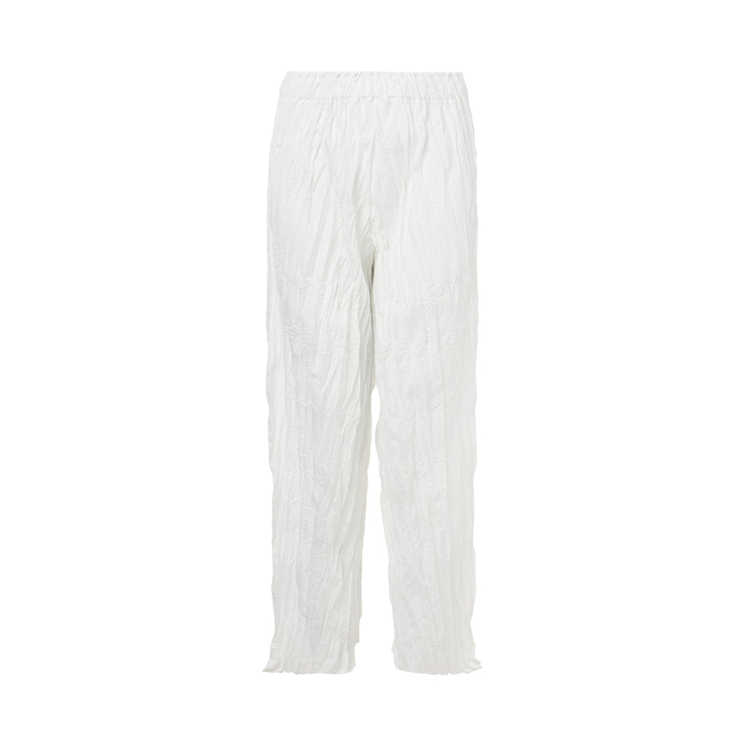 Whip Pleats Pants