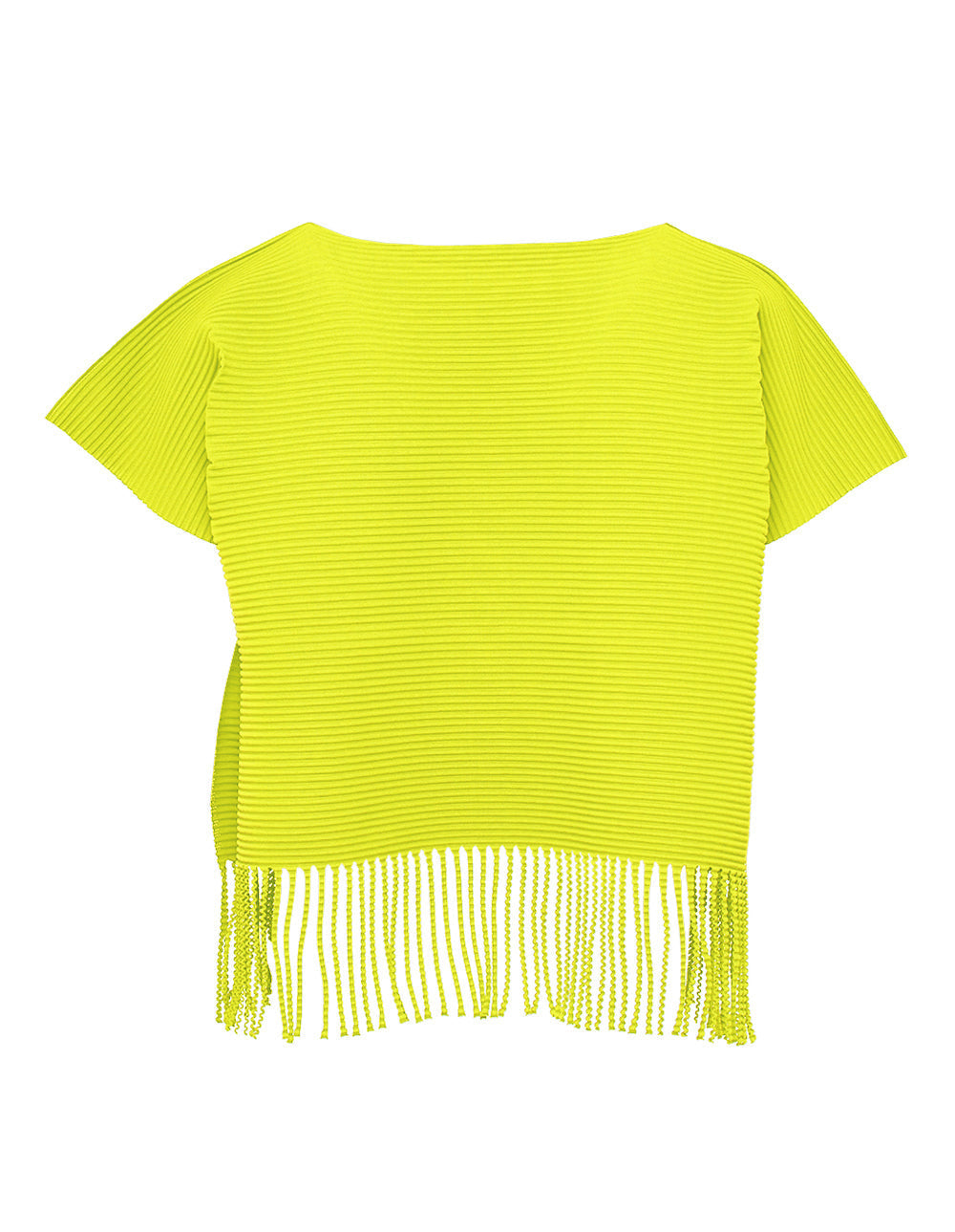 Fringe Pleats Top