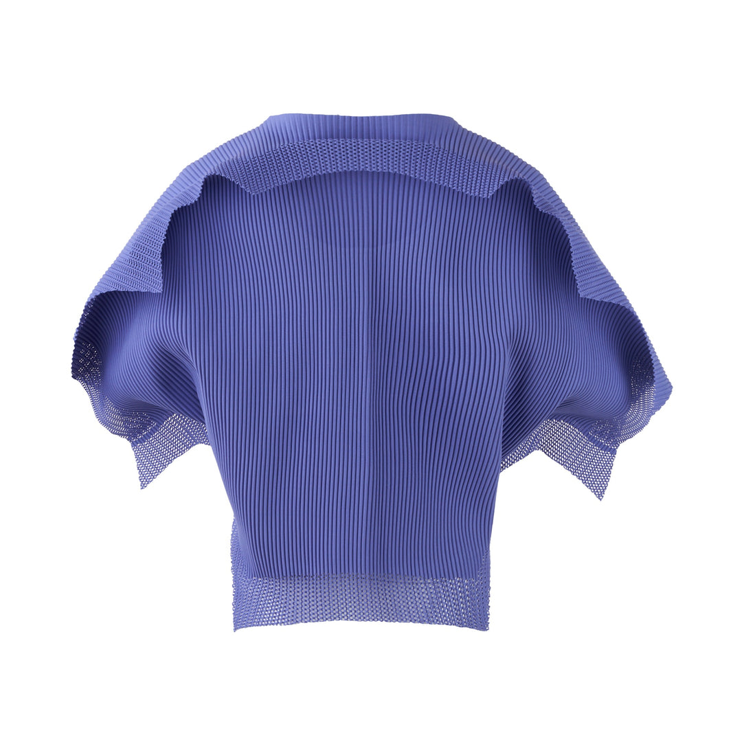 Pop Pleats Top