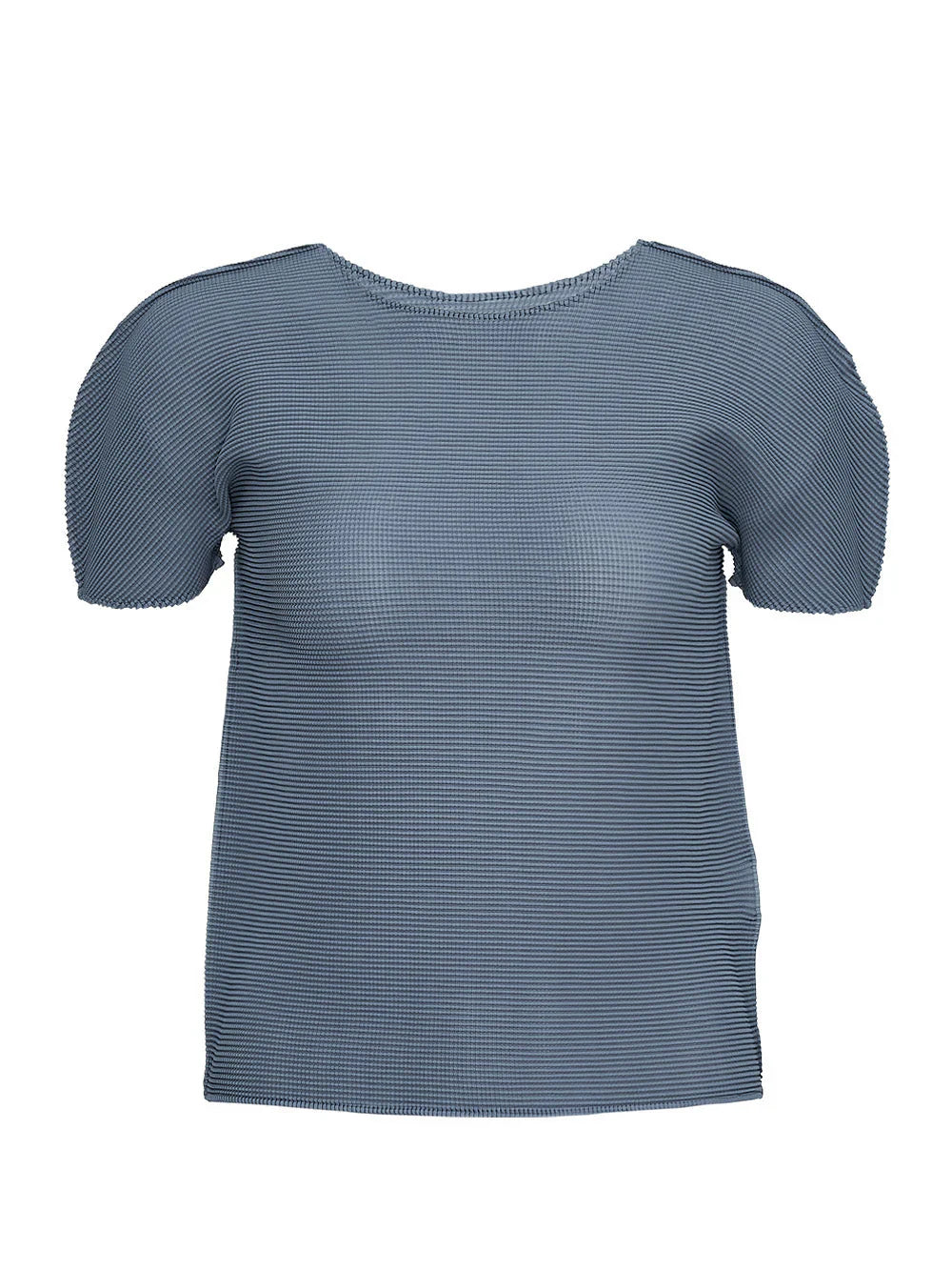 Stretch Pleats 3 Top