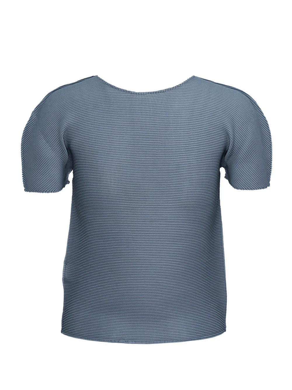Stretch Pleats 3 Top