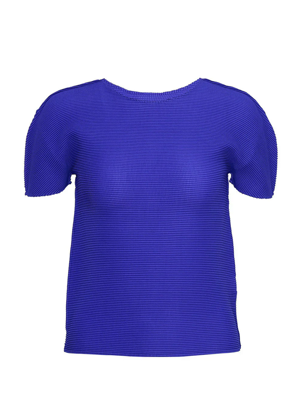 Stretch Pleats 3 Top