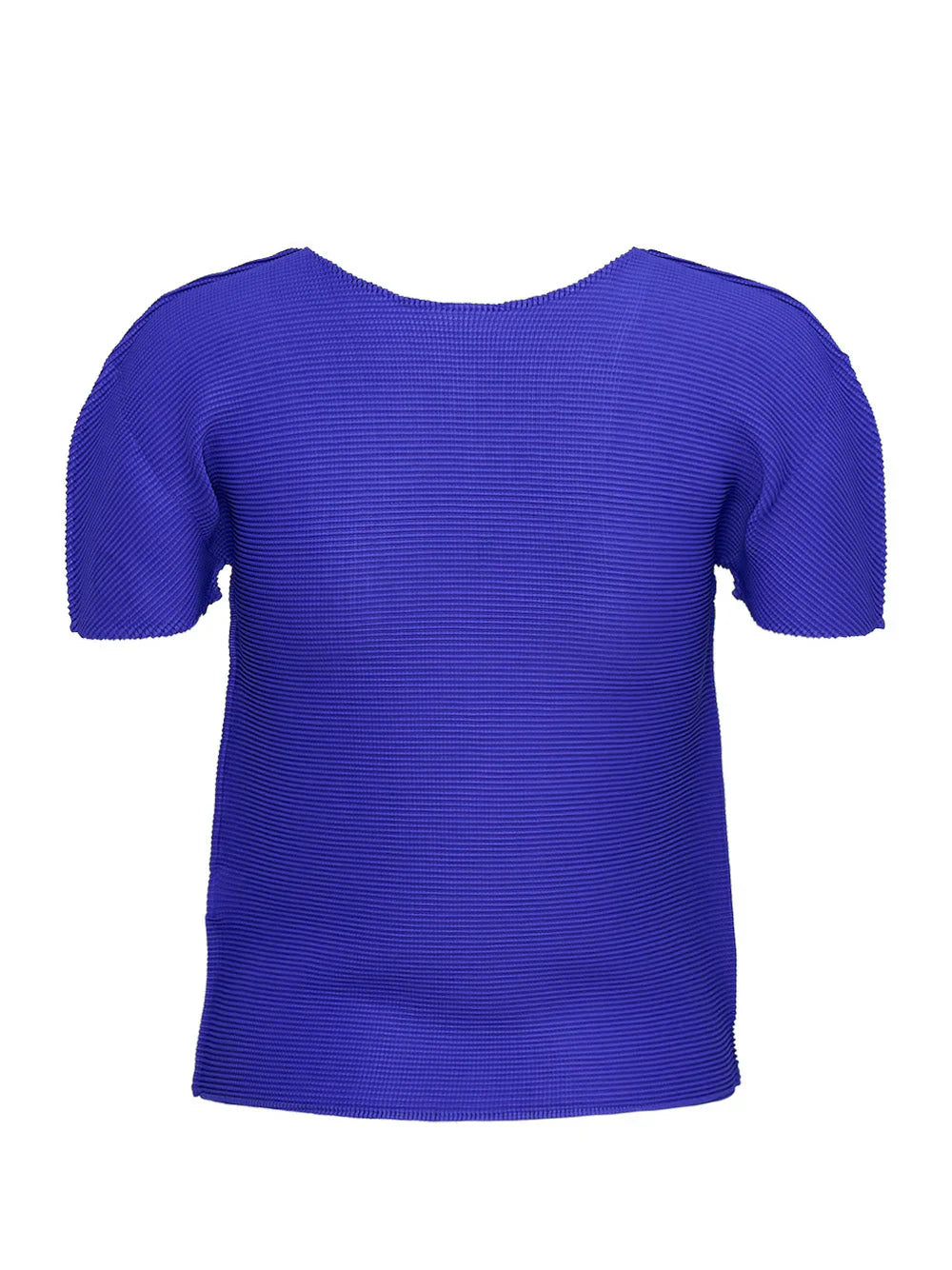 Stretch Pleats 3 Top