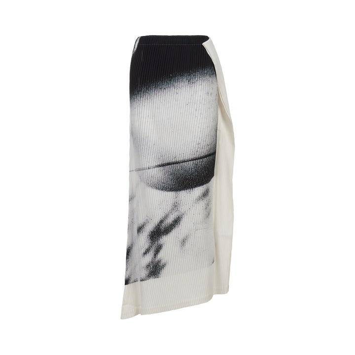 Shadow Study Pleats Skirt