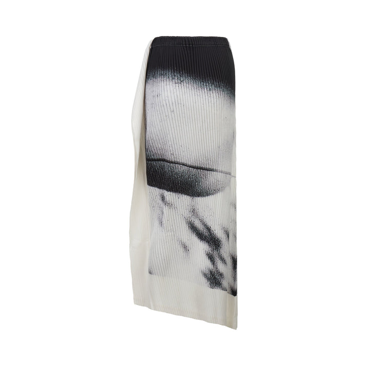 Shadow Study Pleats Skirt