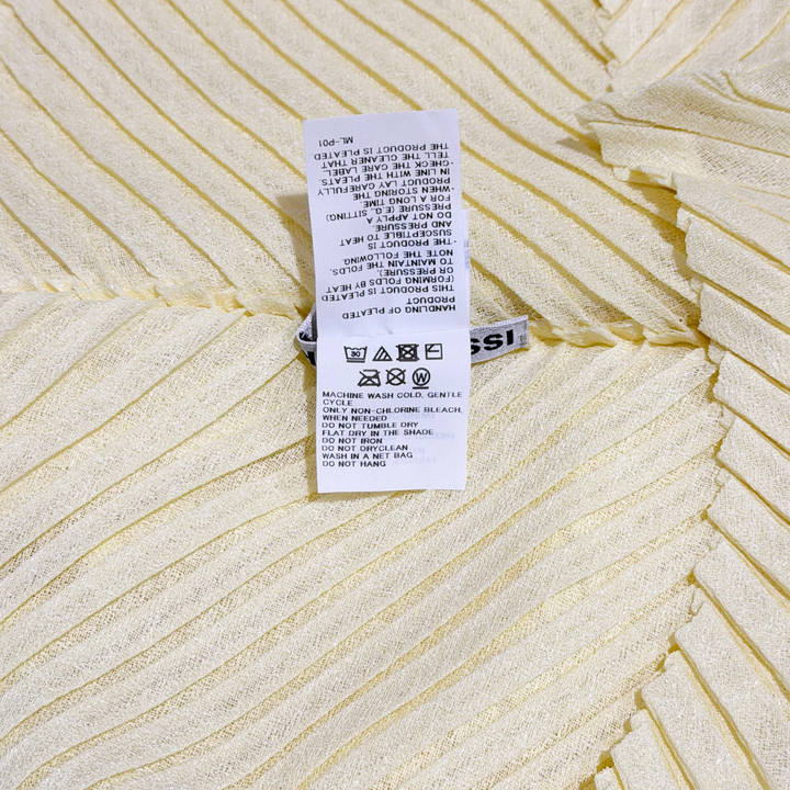 Sheer Linen Like Pleats Shirt