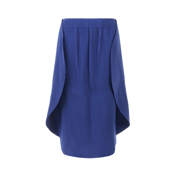 Circle Pleats Skirt