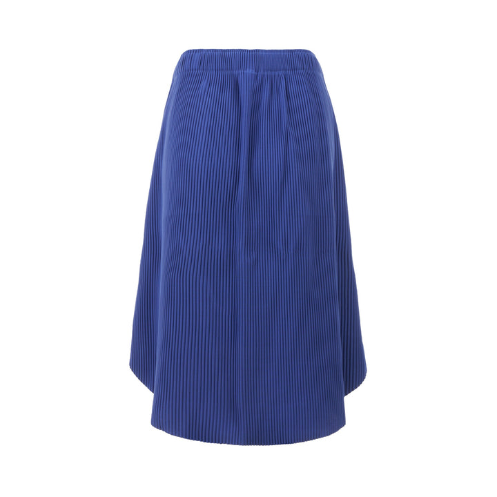 Circle Pleats Skirt