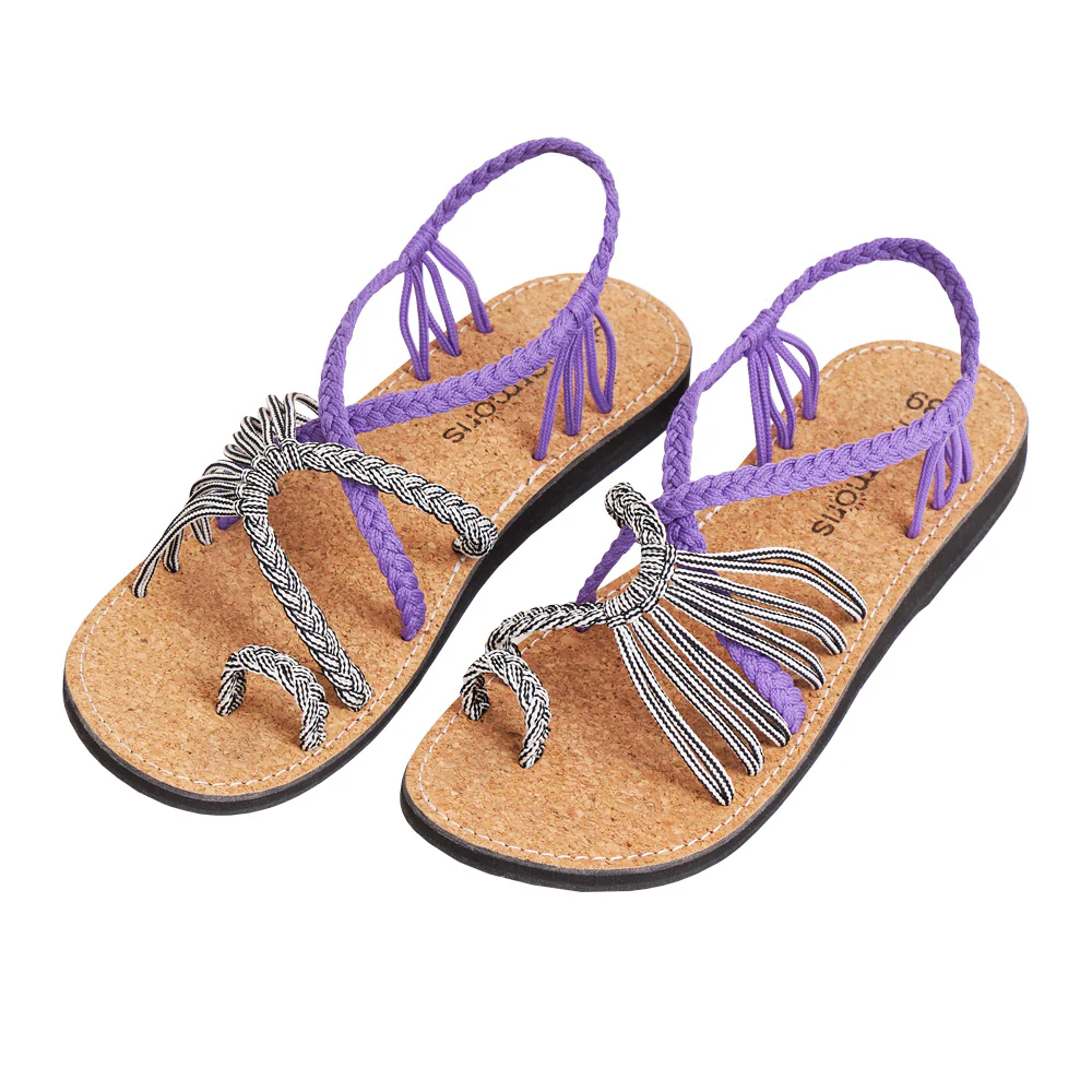 Explore Purple Zebra