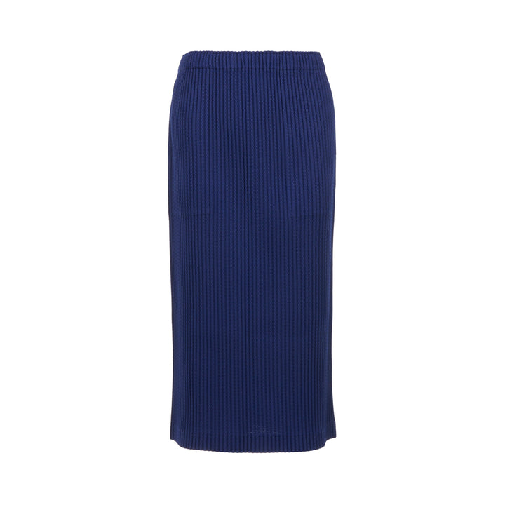 Warm Mesh Pleats Skirt