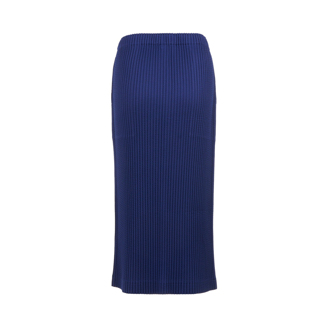 Warm Mesh Pleats Skirt