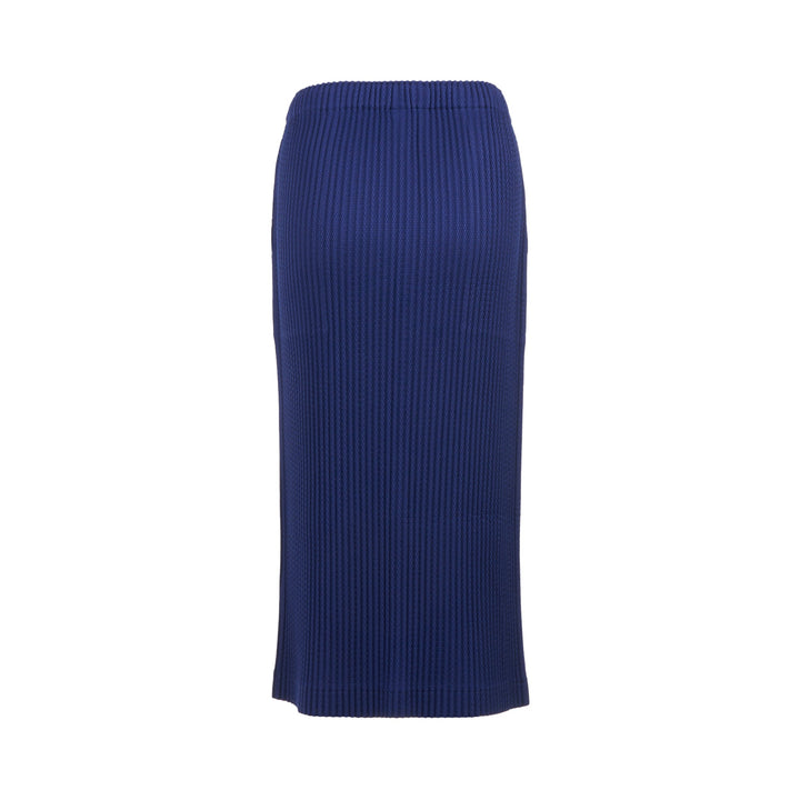 Warm Mesh Pleats Skirt