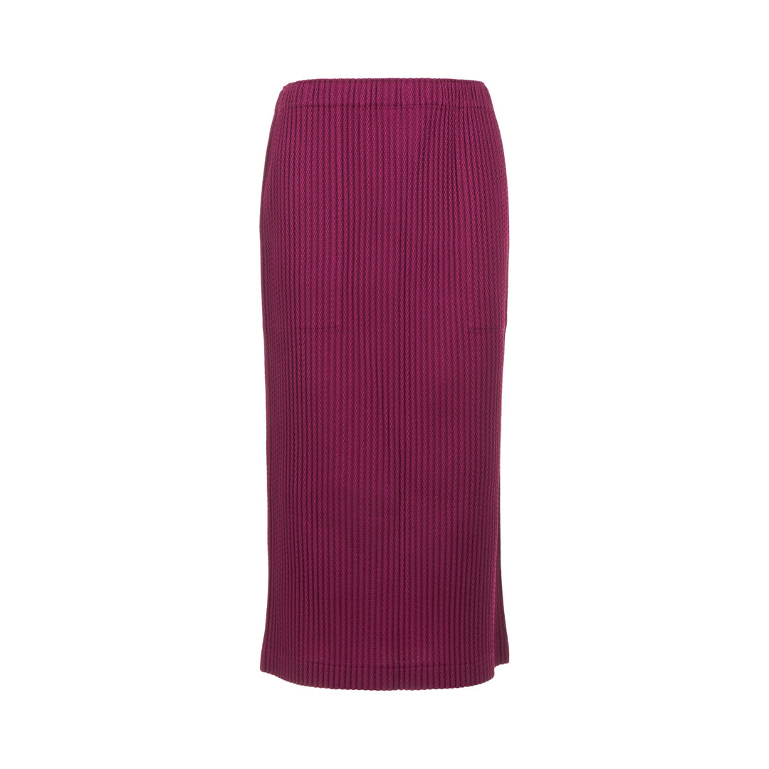 Warm Mesh Pleats Skirt