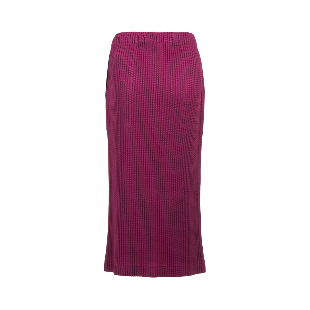 Warm Mesh Pleats Skirt