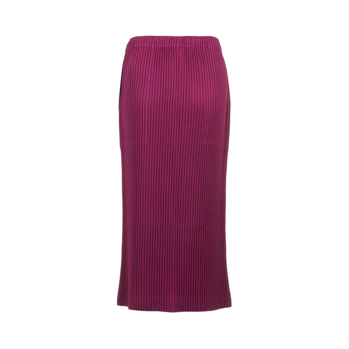 Warm Mesh Pleats Skirt