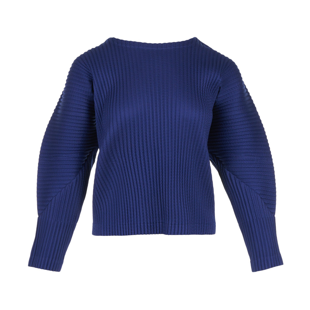 Warm Mesh Pleats Long Sleeve Top