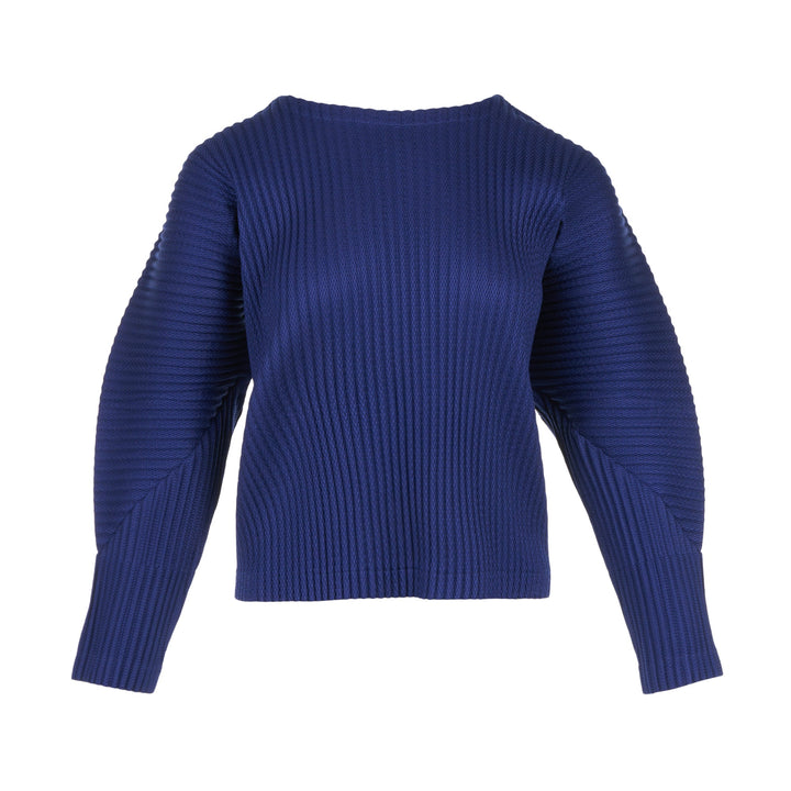 Warm Mesh Pleats Long Sleeve Top