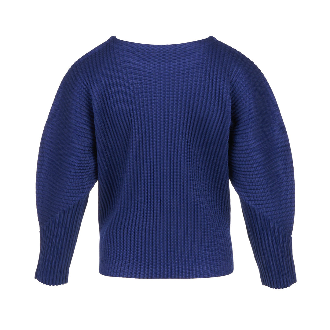 Warm Mesh Pleats Long Sleeve Top