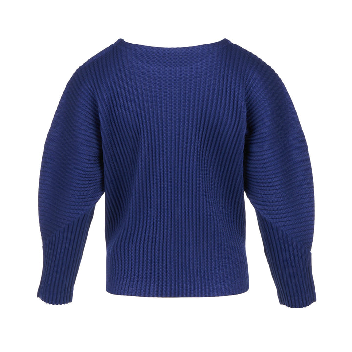 Warm Mesh Pleats Long Sleeve Top