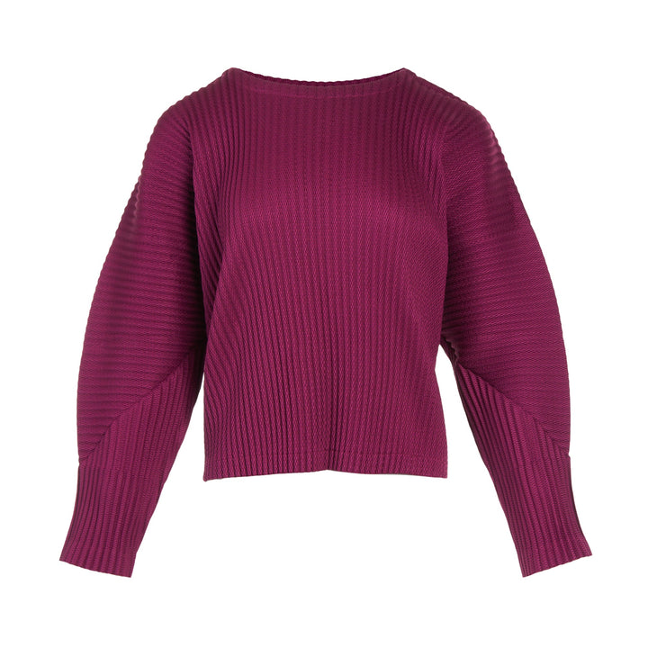 Warm Mesh Pleats Long Sleeve Top