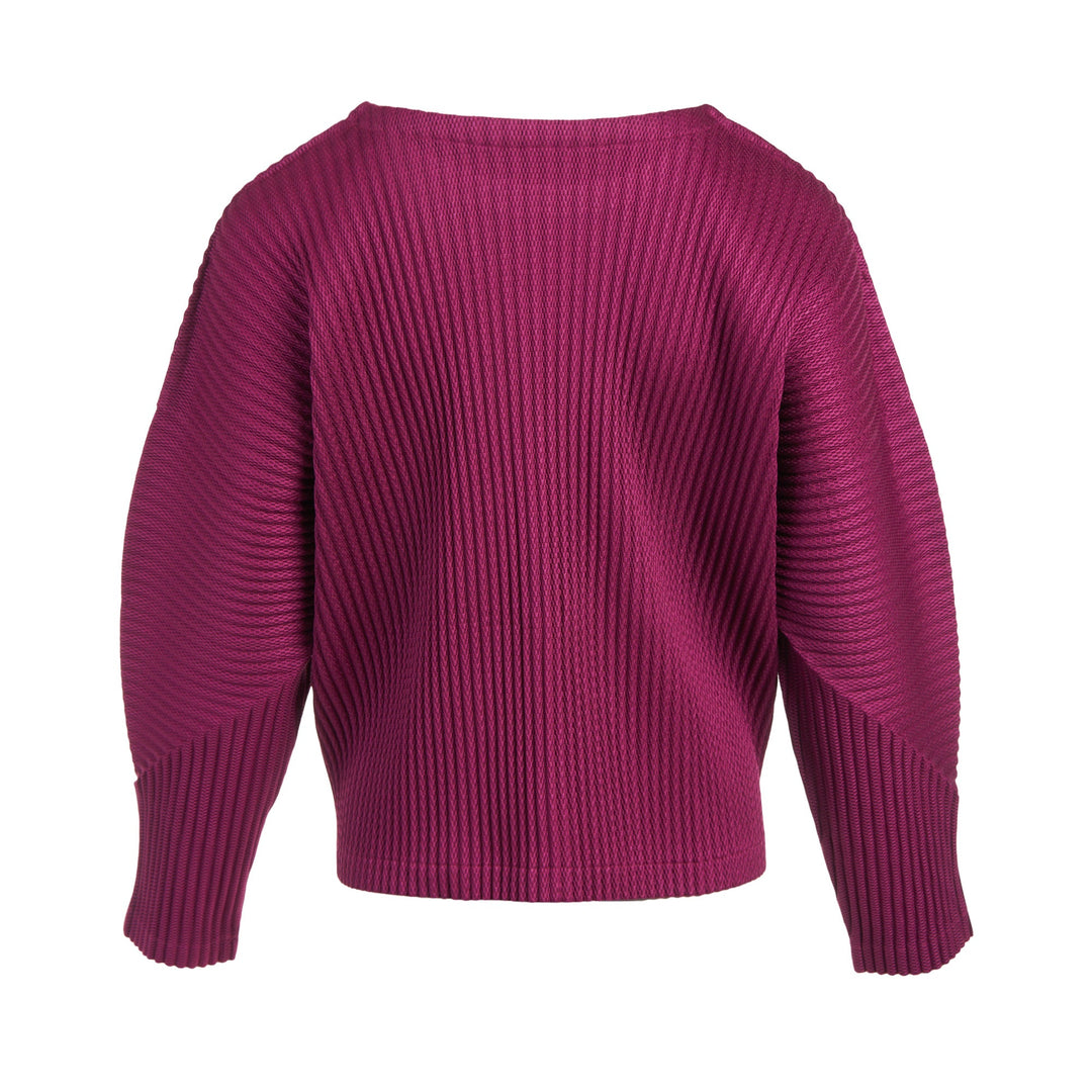 Warm Mesh Pleats Long Sleeve Top