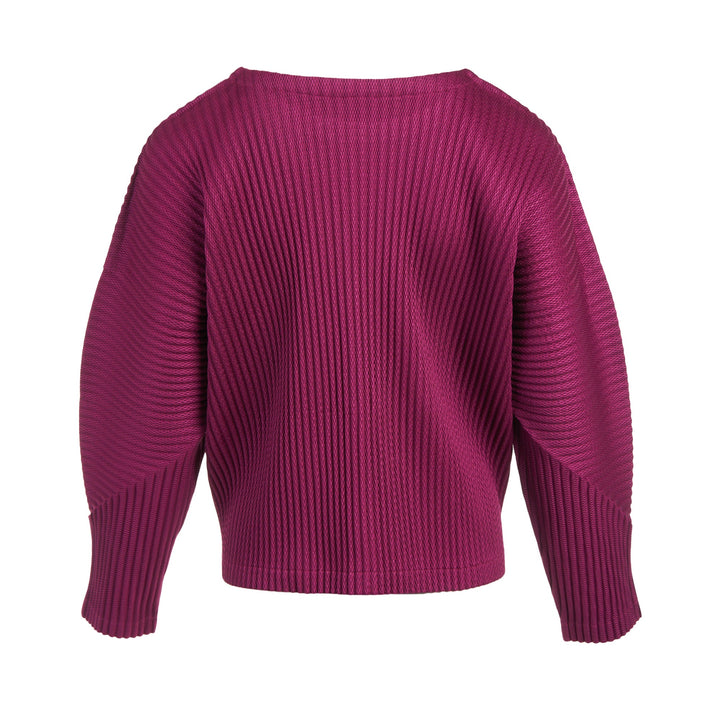 Warm Mesh Pleats Long Sleeve Top