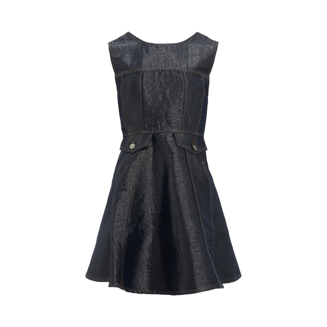 Shiny Weft Denim Mini Dress