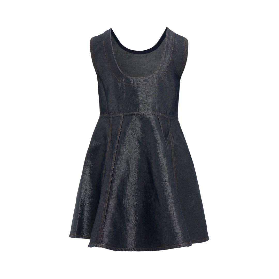 Shiny Weft Denim Mini Dress