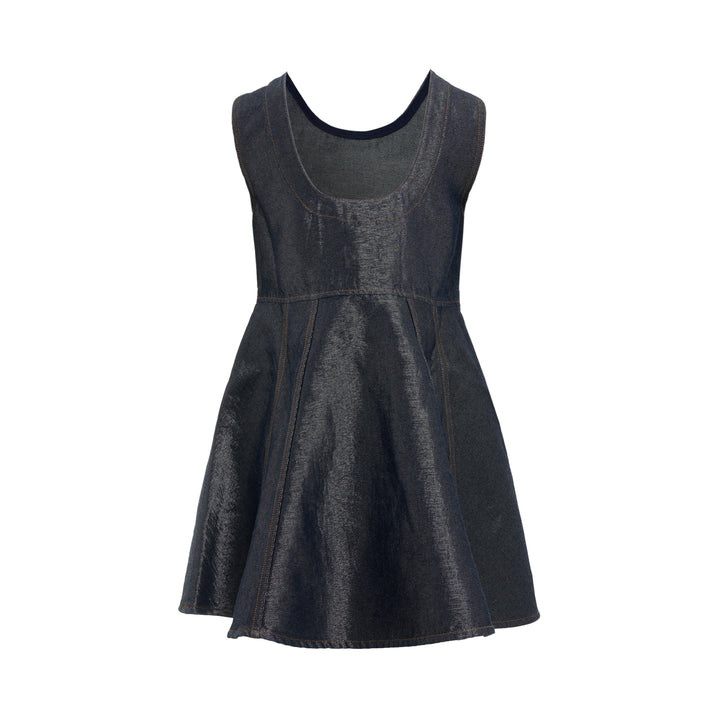 Shiny Weft Denim Mini Dress
