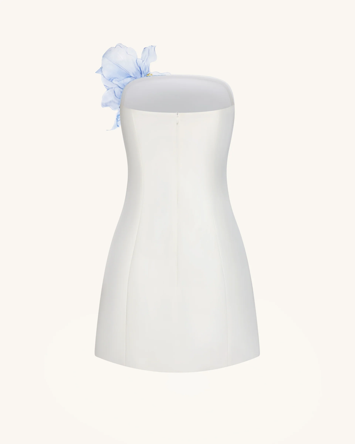 Floral Printed Mini Dress