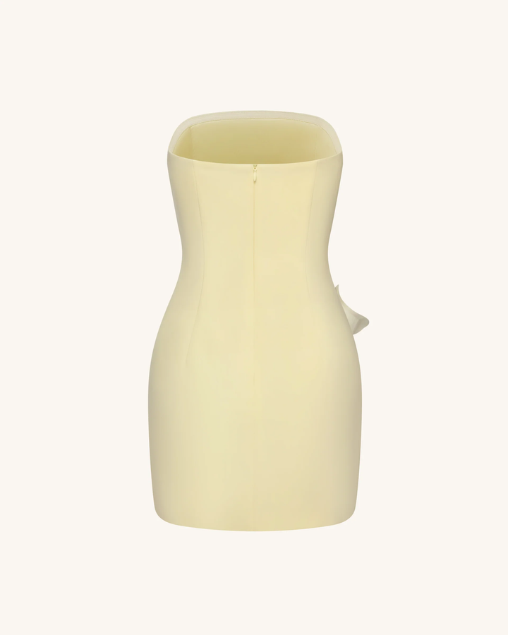 Strapless Floral Applique Dress