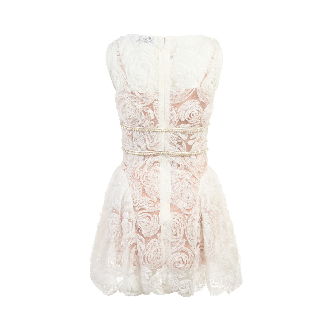 Self-Portrait Rosette Lace Mini Dress in blush pink and ivory with 3D floral tulle appliqué, pearl waist trim, V-neckline, and full voluminous skirt — front view on white background