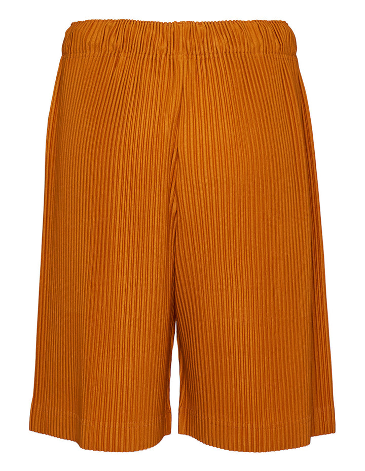 Colorful Pleats Bottoms Pants