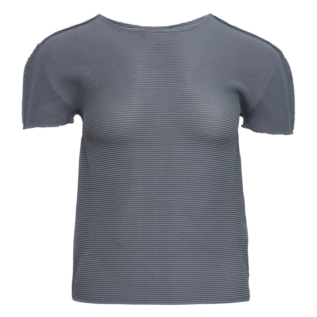 Stretch Pleats Short Sleeve Top