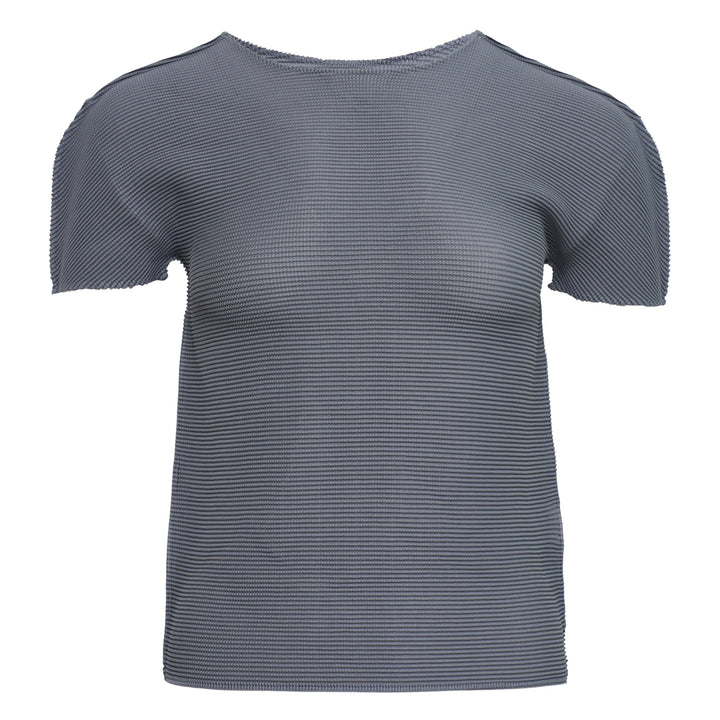 Stretch Pleats Short Sleeve Top