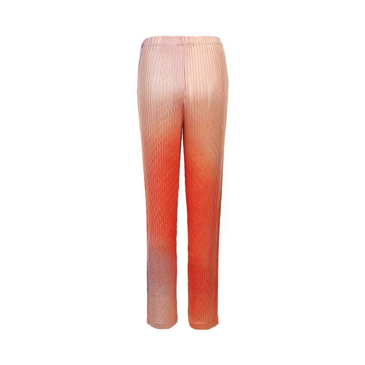 Suffused Pleats Pleated Pants
