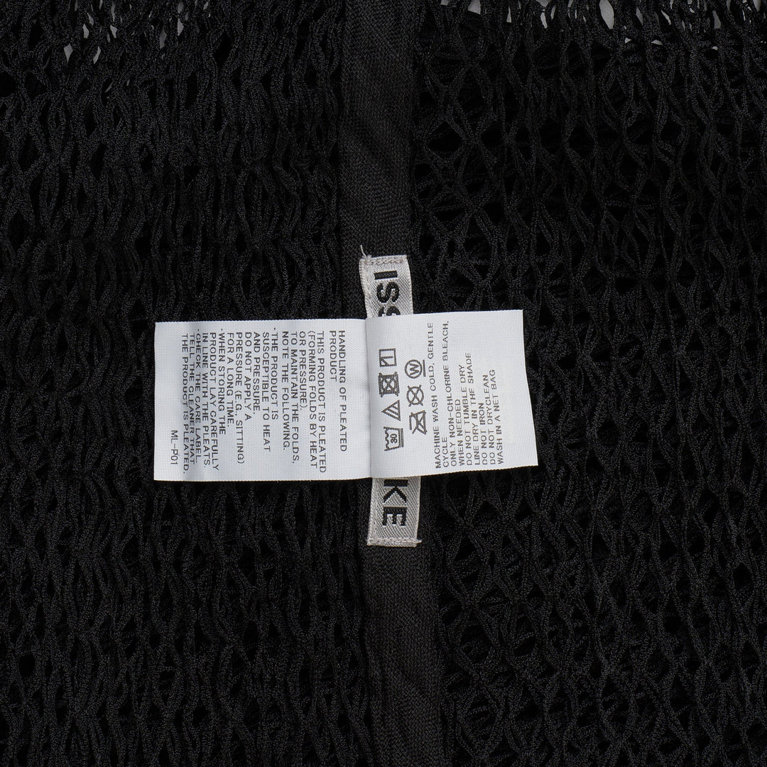 Netting Pleats Pleated Dress