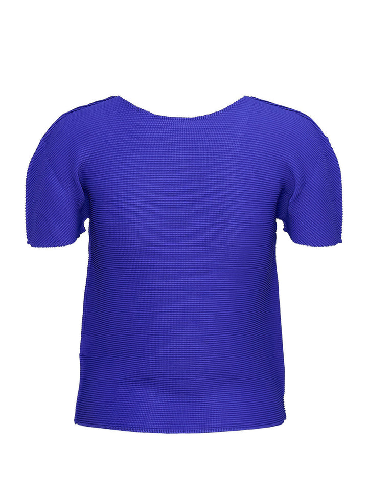 Stretch Pleats 3 Round Neck Top