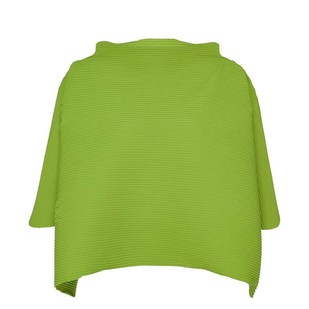 Silhouette Pleats Top