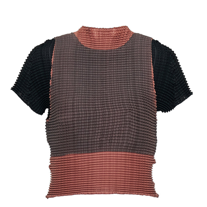 Layered Color Pleats Pleated Top