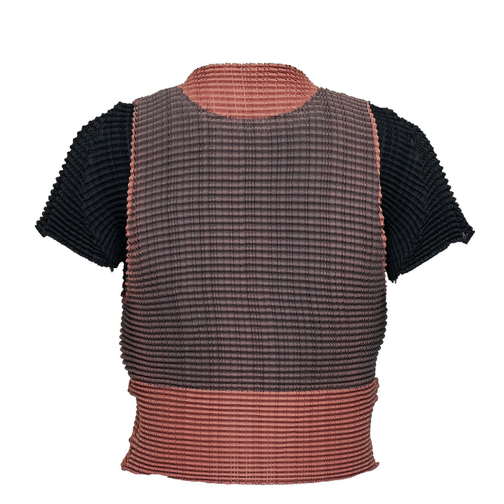 Layered Color Pleats Pleated Top